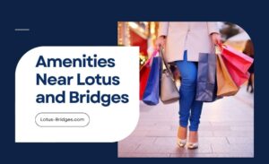 amenities near lotus and bridges